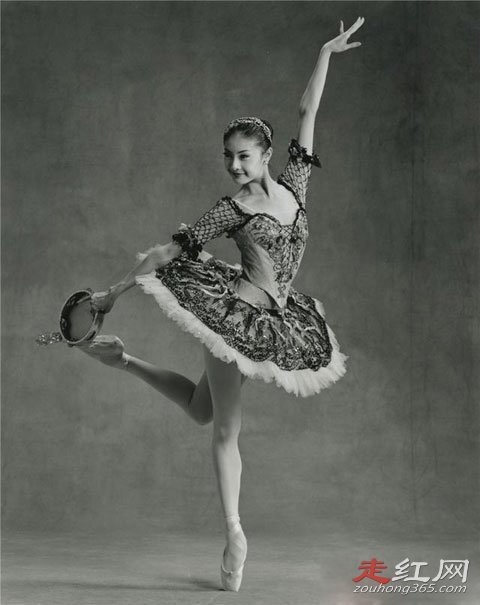 ̷ԪԪ��ʷ���� ���Ǻ���������е㻢������