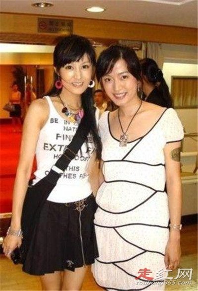 ���ٺͱ���ʲô��ϵ ���׵�˫��̥��