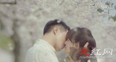 ���������ٻ�����ϵ���� ��������������