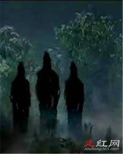 �봨����ֲ���ʵͼƬ ��������¼���ô����