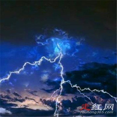 �봨����ֲ���ʵͼƬ ��������¼���ô����