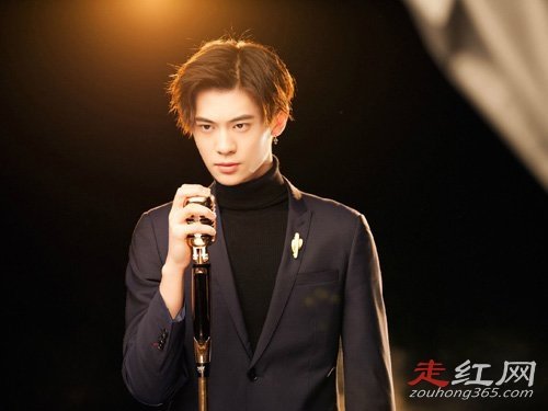 ����ľ�������ϼ�� Ϊʲô��������ɭ