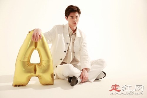 ����ľ�������ϼ�� Ϊʲô��������ɭ