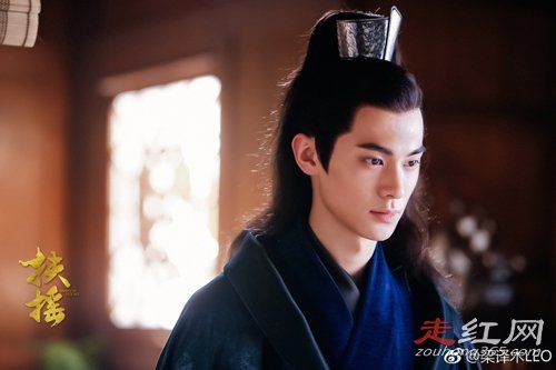 ����ľ�������ϼ�� Ϊʲô��������ɭ