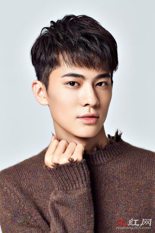 ����ľ�������ϼ�� Ϊʲô��������ɭ