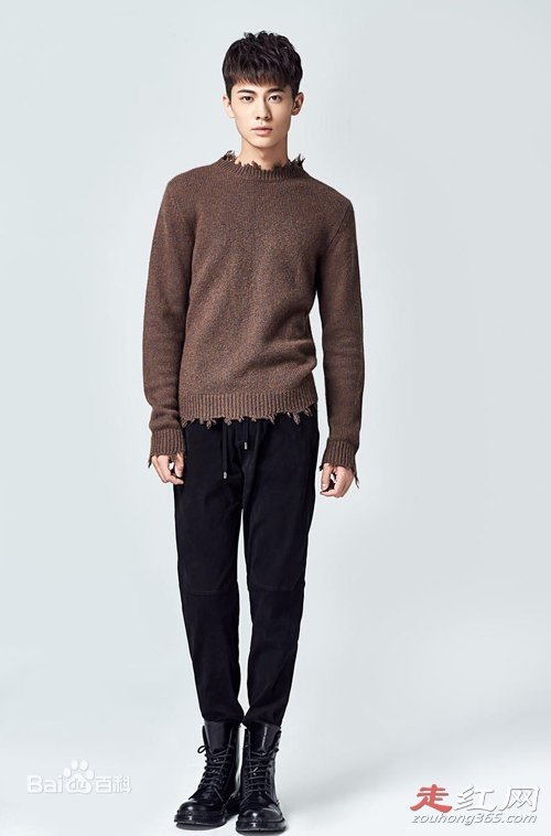 ����ľ�������ϼ�� Ϊʲô��������ɭ