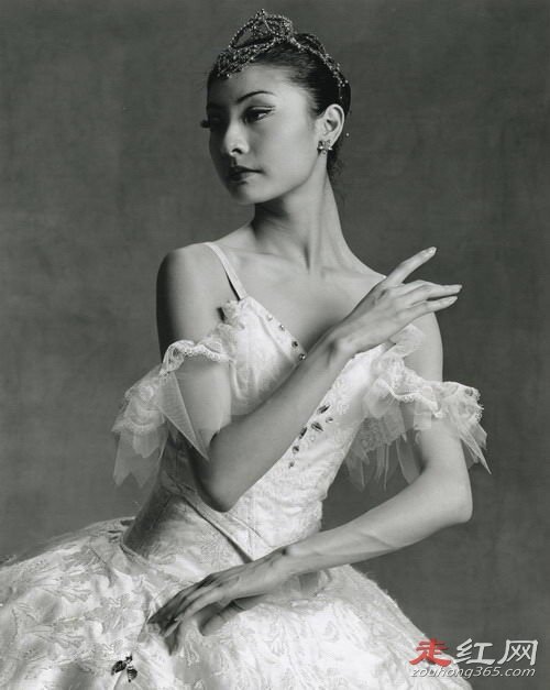 ̷ԪԪ�������������ϼ�� �Ϲ����˹�ƽ��