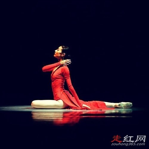 ̷ԪԪ�������������ϼ�� �Ϲ����˹�ƽ��