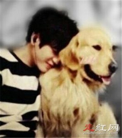 ����������������ʲô�� ȥ������