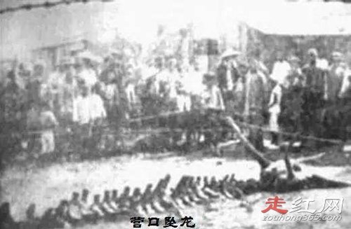 营川坠龙事件真实视频怎么回事 被隐藏的真相是什么