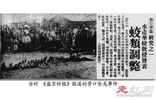 营川坠龙事件真实视频怎么回事 被隐藏的真相是什么