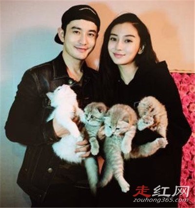 ��������baby��Ļ�������� ��α����ô����