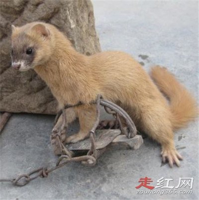 ����Ϊʲô����������� ����ʲô��ô���ϲ��ý���