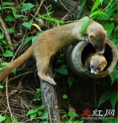 ����Ϊʲô����������� ����ʲô��ô���ϲ��ý���