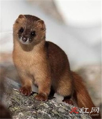 ����Ϊʲô����������� ����ʲô��ô���ϲ��ý���