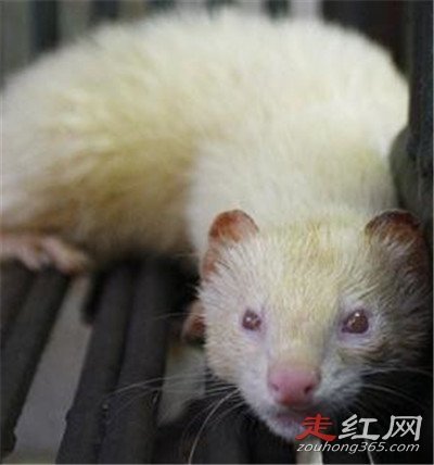 ����Ϊʲô����������� ����ʲô��ô���ϲ��ý���