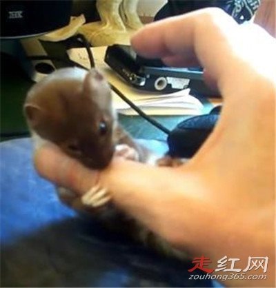 ����Ϊʲô����������� ����ʲô��ô���ϲ��ý���