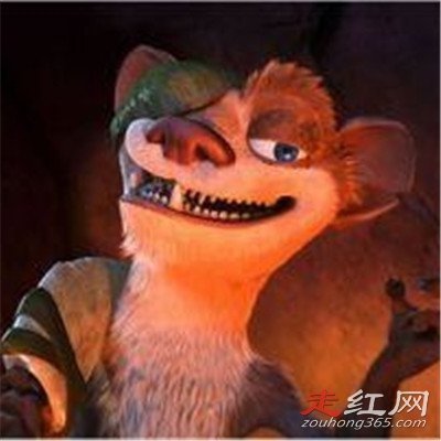 ����Ϊʲô����������� ����ʲô��ô���ϲ��ý���