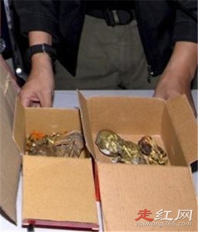 泰国养小鬼真实案件有哪些 是真的还是假的