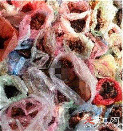 ̩����������Ӥʬ����ô���� ������Ӥ���¼��ÿֲ�