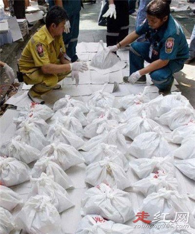 ̩����������Ӥʬ����ô���� ������Ӥ���¼��ÿֲ�