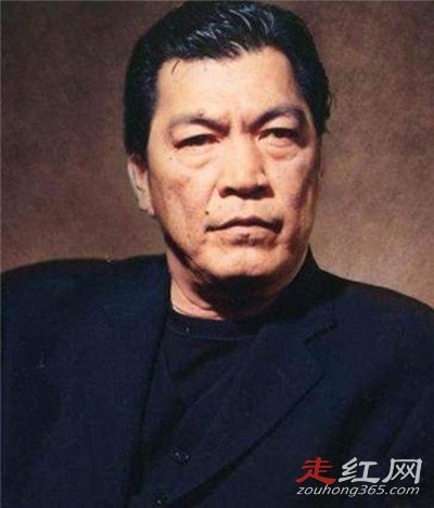 成奎安祖籍是哪里人 一看到他就想到黑社会老大