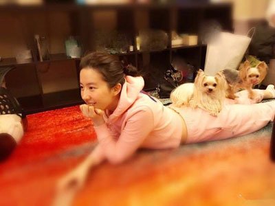 杨采钰陈金飞结婚了 抛弃刘亦菲,爷孙恋的一个潜质