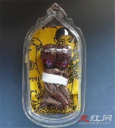 ����ͯ������ʵ���� ����С����Щ��