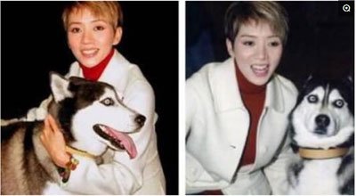 ÷�޷�ʲôԭ����ô�ߵ� ���������Ѿ�������