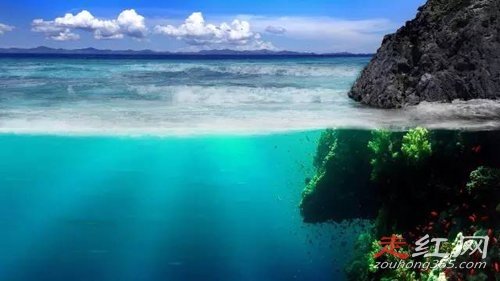 ����һ������ʲô���� �ֲ�����ͼƬ��ʲô����