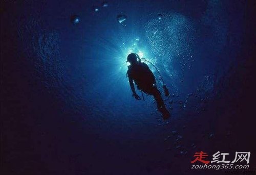 ����һ������ʲô���� �ֲ�����ͼƬ��ʲô����