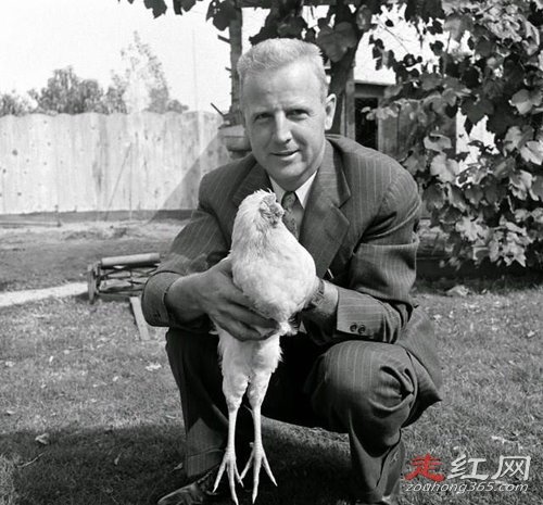 ��ͷ������������ Ϊ���ܻ�18������ô��ʳ