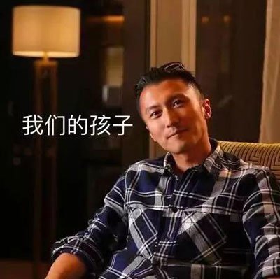 王菲怀孕为老不尊 没有必要折腾自己