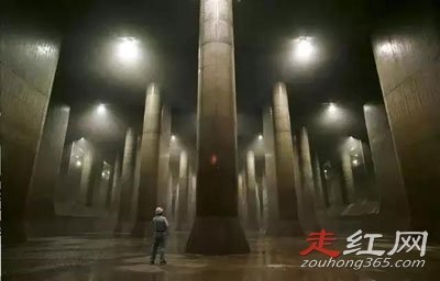 ţ������ô��ʲô��˼ ��������Ƿǳ�ţ�Ƶ���˼