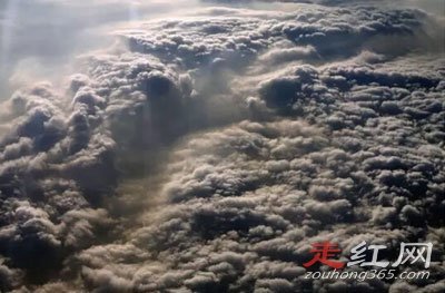 ţ������ô��ʲô��˼ ��������Ƿǳ�ţ�Ƶ���˼