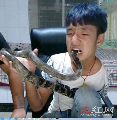 �����ʤ������ô�ϵ� ����ĵ�һ����Ƶ�����������