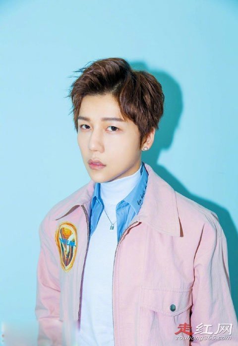 刘维个人资料简介怎么就变娘娘腔了