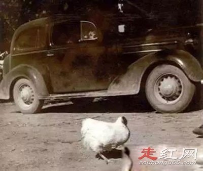 ��ͷ������֮�� ����18����Ϊʲô������