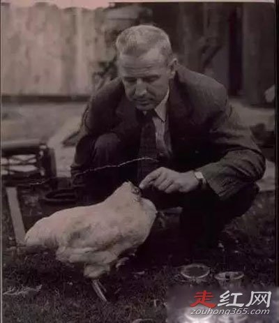 ��ͷ������֮�� ����18����Ϊʲô������