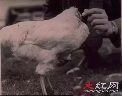 ��ͷ������֮�� ����18����Ϊʲô������