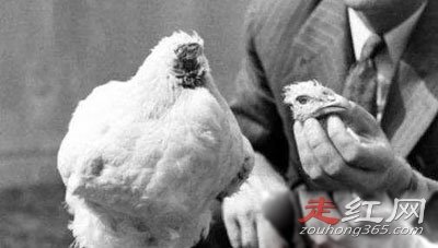 ��ͷ������֮�� ����18����Ϊʲô������