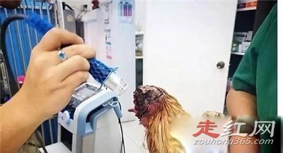 ��ͷ������֮�� ����18����Ϊʲô������