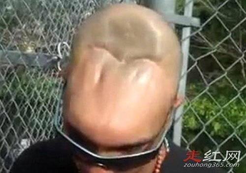 ���Ը��Ů������˭ ʲô������������