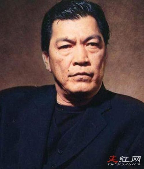 成奎安个人资料介绍为什么叫大傻什么原因怎么走的