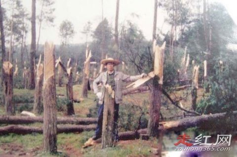 ���йֳ��¼�������Ƶ������ ����צ��ʲô