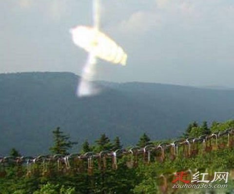 ���йֳ��¼�������Ƶ������ ����צ��ʲô