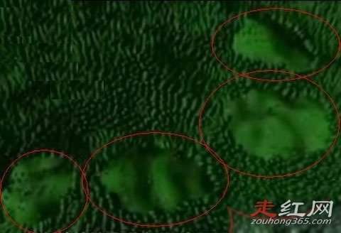 ���йֳ��¼�������Ƶ������ ����צ��ʲô