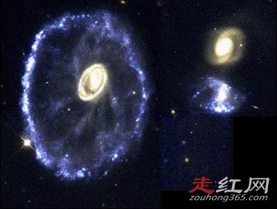 �����Ѿ�����ѧ֤ʵ���� ������Ŀǰû����˵�����