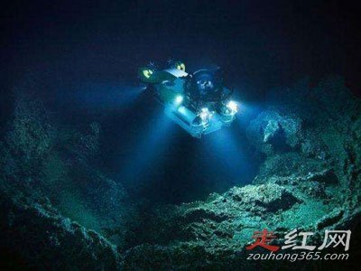����һ�����ж�ֲ� ��ʲô�ֲ��������