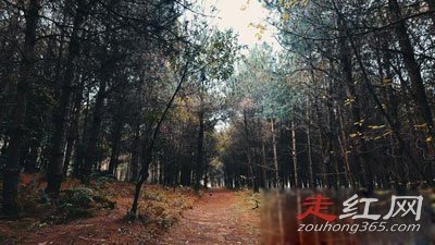 ���йֳ��¼�����צӡ����צ�� һЩ˵������һЩ˵��UFO